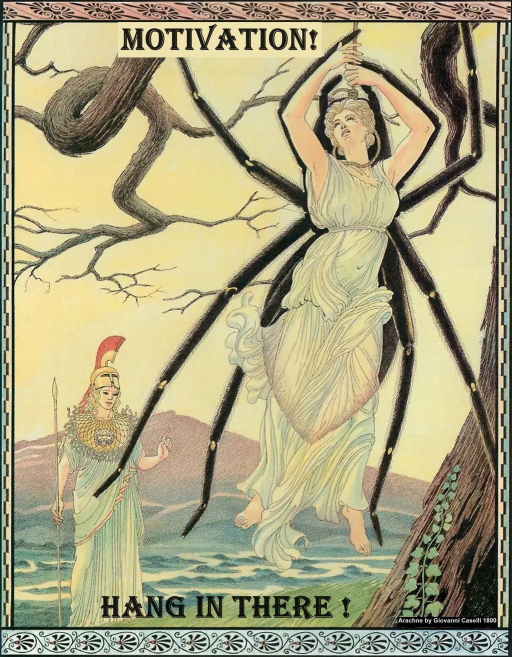 Arachne Hang In There!